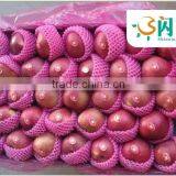 Sell Shaanxi Grade One Fresh Qinguan Apple