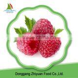2016 New Crop IQF Frozen Raspberry on Sale thumbnail-1