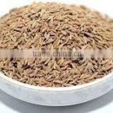 Cumin Seeds thumbnail-5