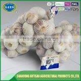 Best Price of Single Clove Garlic for Wholesale thumbnail-1
