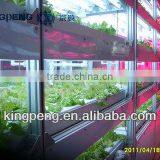 Fast Seedling Plant Factory for Vegetable thumbnail-1