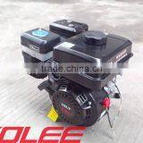 Gasoline Engine, Power Engine, Engine GX160