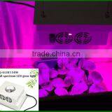 Hot Sell Cob Led Grow Bulbs150 w Indoor Grow Light Bulbs thumbnail-5