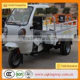 China New 250cc Three Wheel Mini Pedal Motorbikes for Sales thumbnail-3