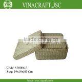 Seagrass Storage Box