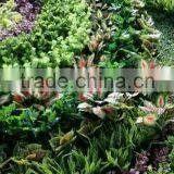 D'Este Producing Fake Green Plant Wall for Indoor&outdoor Decoration thumbnail-3