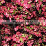 Cherry Blossoms Artificial Floral Tree Decorations,Fake Cherry Blossom Tree For Sale thumbnail-5