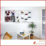 Large Wall Mounted Acrylic Glass Clear Presentation Showcase Case for Rocks - Minerals - Fossils - Shells - Stones-Model Cars thumbnail-4