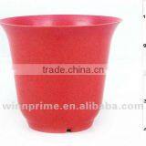 FLOWERPOT thumbnail-1