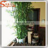 Wholesales Outdoor and Indoor Plastic Artificial Bamboo Tree Bamboo Fence Price on Sale thumbnail-6