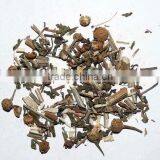 Chrysanthemum Cinerariaefolium thumbnail-1