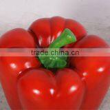 Bell Pepper thumbnail-2