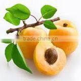 Apricoat Oil thumbnail-5