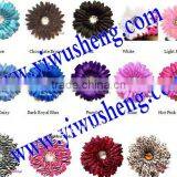 Daisy Flowers Daisies Artificial Flowers thumbnail-1