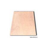 Sell Meranti Plywood thumbnail-1