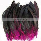 Pheasant Feather for Decorate thumbnail-1