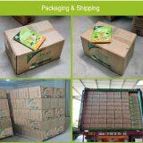 2019 TOPONE Super Strong Sticky Mouse Board Household Mice Killer Mouse Glue Trap thumbnail-2