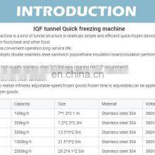 HOT SALE IQF Tunnel Quick Freezer for Sale thumbnail-5
