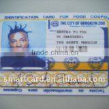 Identification Card for Food Coupons or Public Assistance