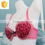 The Sexy Ladies Leopard Lace Bra thumbnail-2