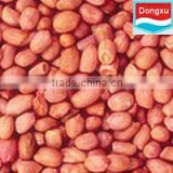 good red skin peanut kernels