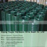 Stainless Steel & Galvanized & PVC Coated Welded Wire Mesh