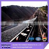 China 20 Inche Conveyor Belt thumbnail-6