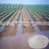 Granular Sap Water Keeping Gel For Soil Conditioner thumbnail-1