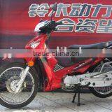 Motorcycle/Cub Motorcycle WJ110(II)(WJ-SUZUKI Engine)