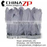 CHINAZP Factory Best Selling Cheap Trim Dyed Grey Goose Satinettes Trimming Feathers thumbnail-1