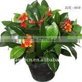 Artificial Red Cedar Small Bonsai