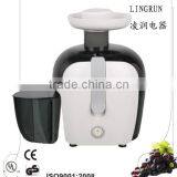 Mini Juicer