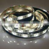 Pure White IP68 5050 SMD LED Lighting Strips