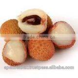 Litchi Pulp Powder / Litchi Powder (Spray Dried )