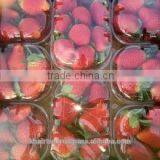 DELICIOUS Red STRAWBERRY FROM EGYPT