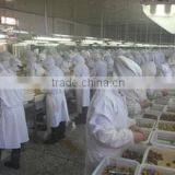 Qinhuangdao Yanshan Chestnut Co., Ltd. company overview - view 3 thumbnail