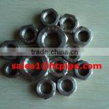 310S En1.4845 Stainless Steel Hex Head Bolt Nut and Washer Uns 309S en 1.4835