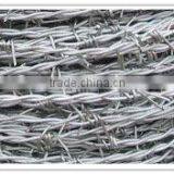 Barbed Wire thumbnail-1