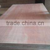 Packing Grade Laminated 18mm Eucalyptus Plywood thumbnail-5
