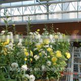 Galvanized Pipe Frame And Glass Covered Garden Greenhouse For Flowers thumbnail-2