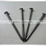 China Manufacturer Common Nails Iron Nail Price and Size thumbnail-4