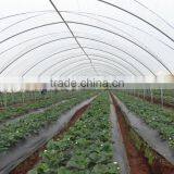 Tunnel-600 Agricultural Economical Greenhouse thumbnail-2