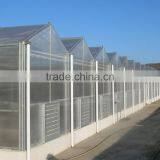 Hot Sale Agriculture Used PCsheet Greenhouse Commercial Used thumbnail-3