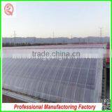 Multi Span Agricultural Film Greenhouse for Potatoes for Sale thumbnail-4