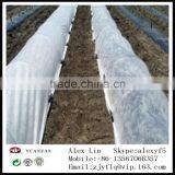 Non-woven Bag is Used to Cover the Outside of the Saplings, Frost Prevention, Freeze Prevention, Insect Prevention thumbnail-3