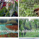China Direct Factory HDPE / Longterm Usage/ Olive Net thumbnail-3