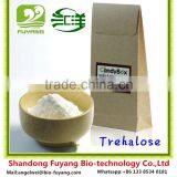 Trehalose as Food Additives in Cake Industry thumbnail-6