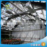 Factory Hot Sales Pc Sheet Greenhouse Used For Vegetable for Sale thumbnail-3