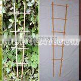 Bamboo Poles Flower Trellis for Garden Support thumbnail-4