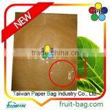 Small Bag Taiwan Factory Wax Apple Protection Paper Bag Custom Packaging Bag thumbnail-3